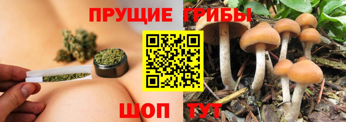 Псилоцибиновые грибы ЛСД Нягань